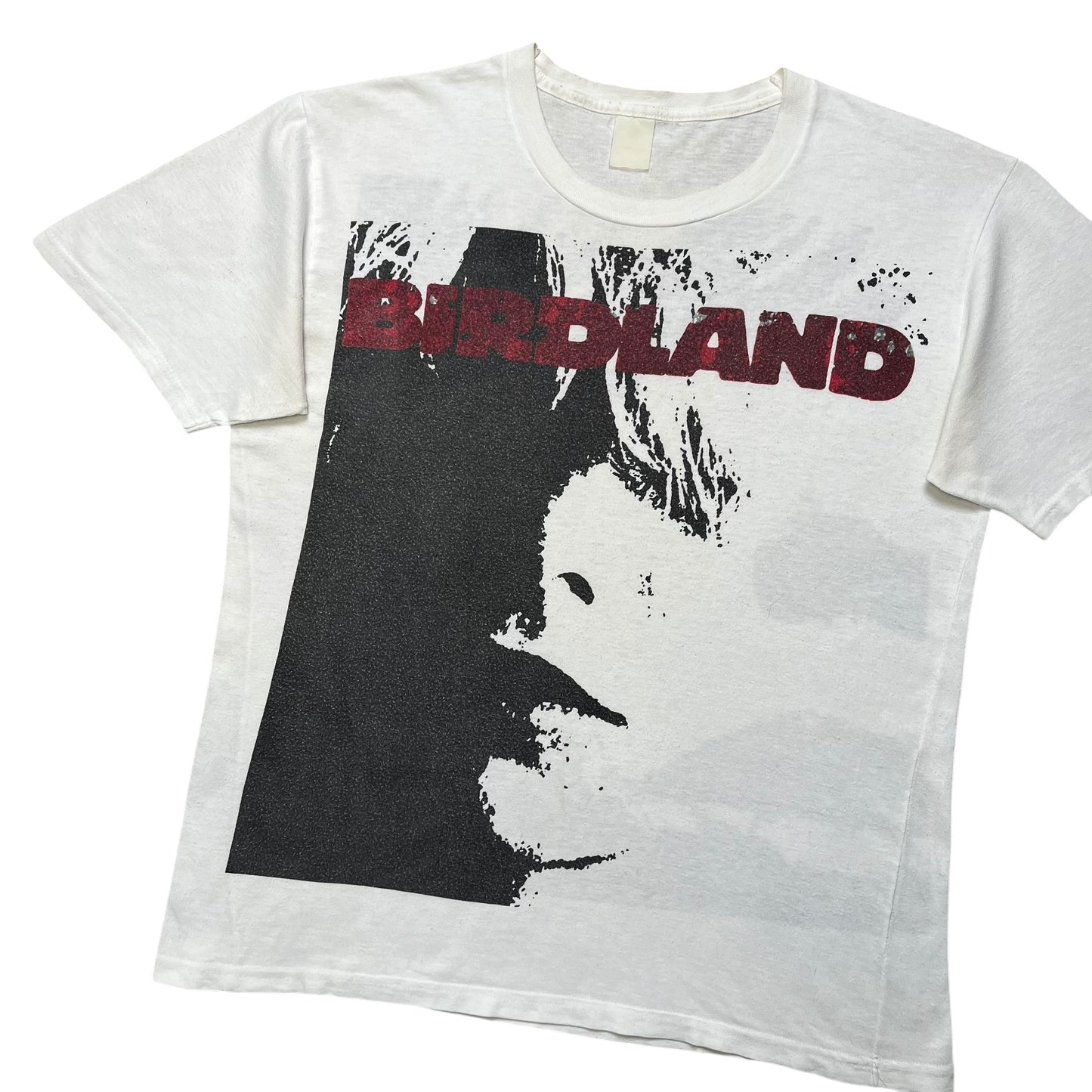 1989 Birdland 'Hollow Heart' (M/L)