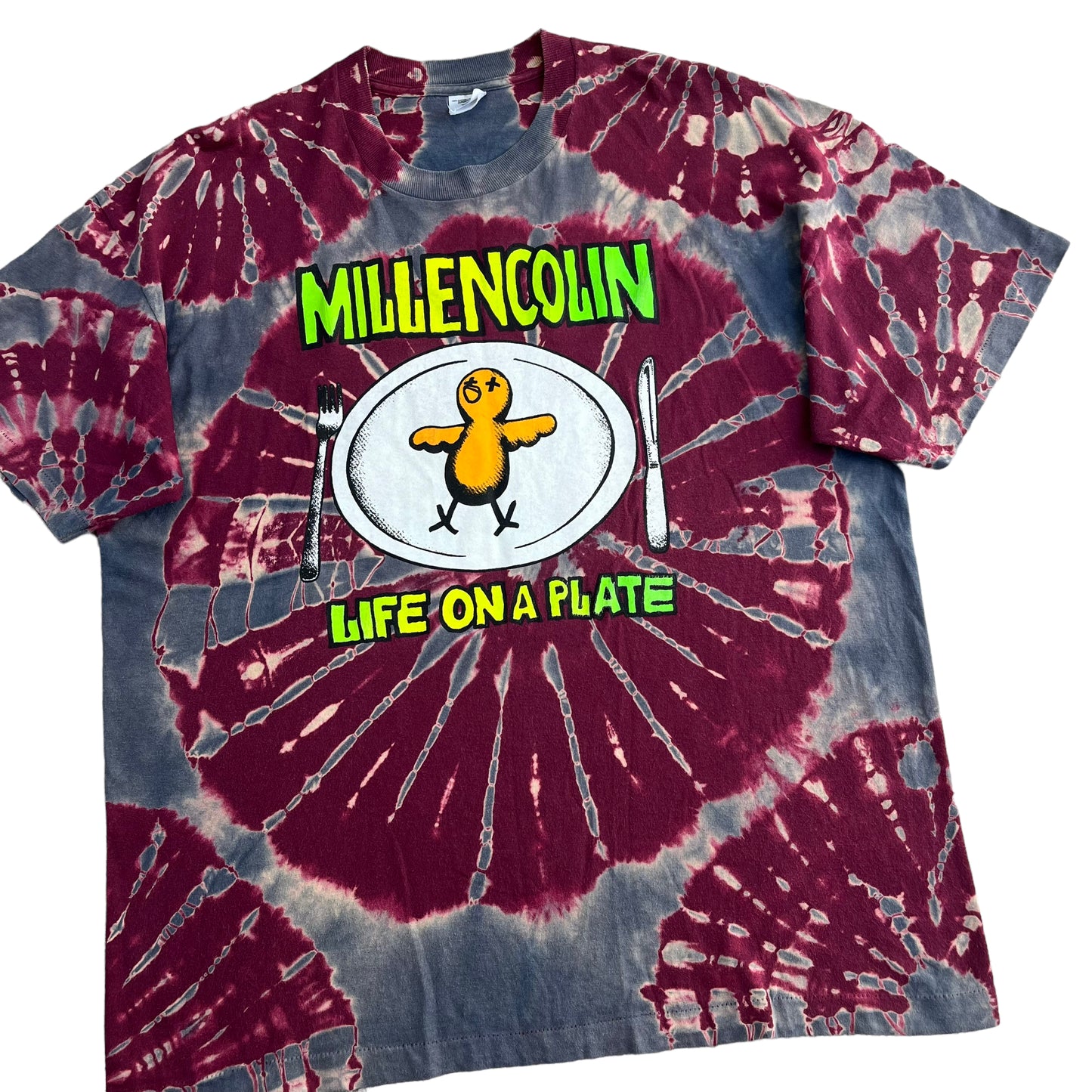 1995 Millencolin 'Life On a Plate' (XL)