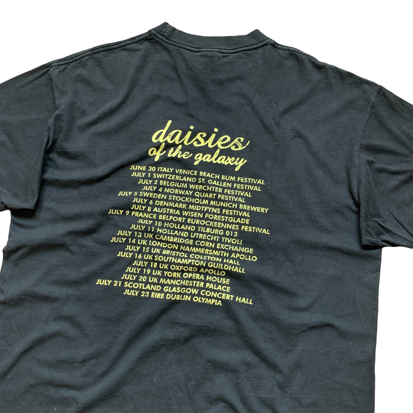 2000 Eels ‘Daisies of the Galaxy’ (XL)